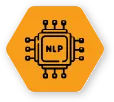 Natural Language Processing (NLP)